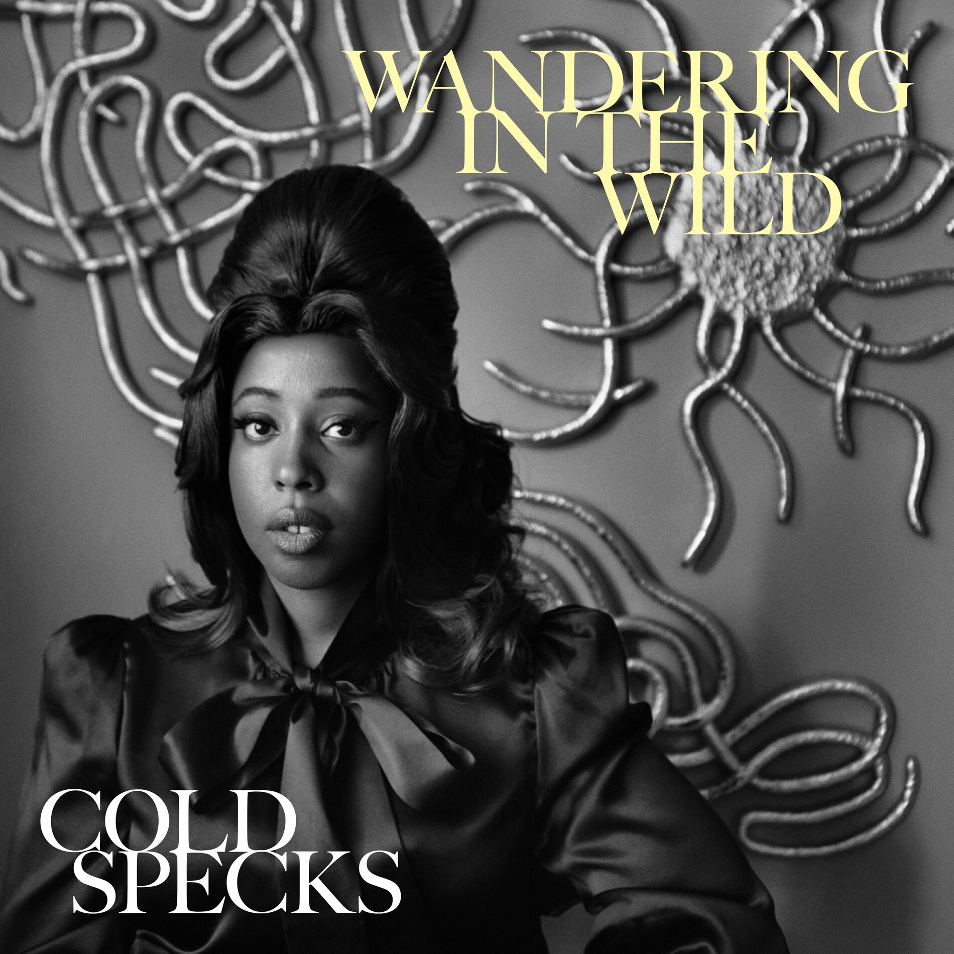 Album cover of Wandering in the Wild