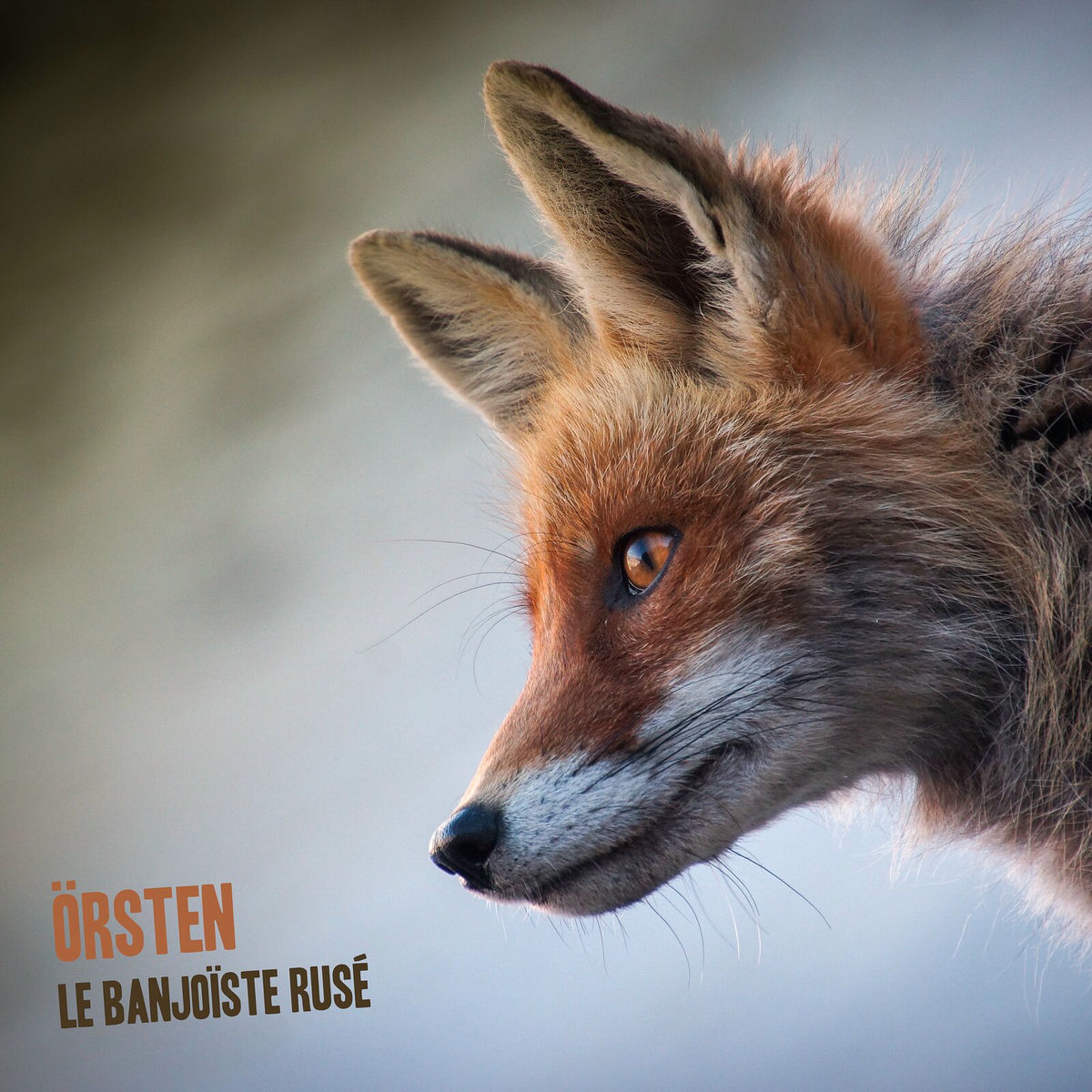 Album cover of Le Banjoïste rusé