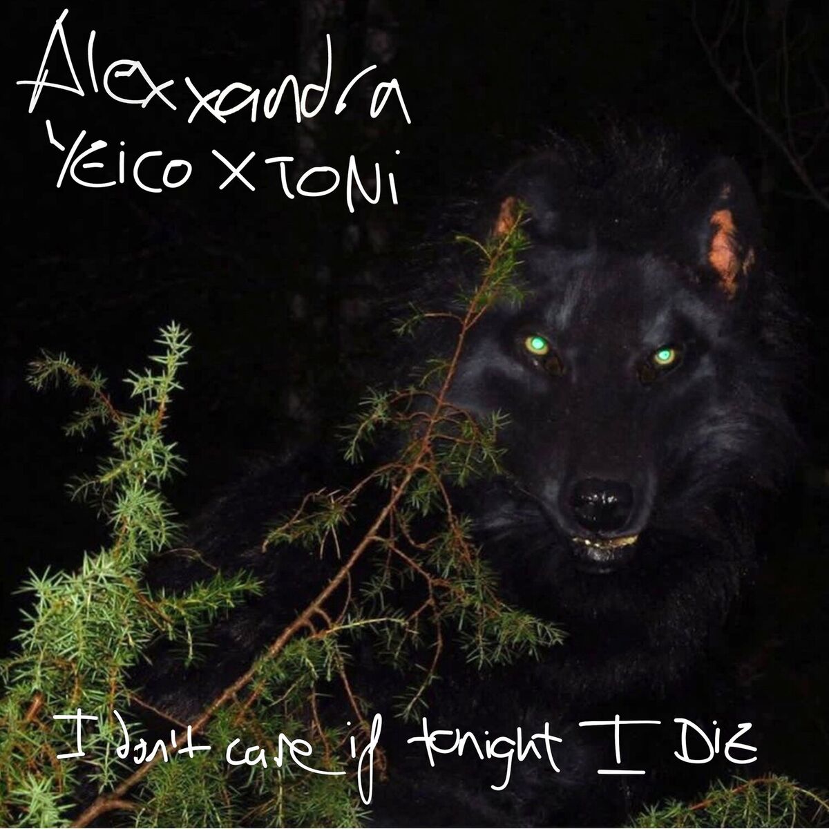 Album cover of I don’t care if tonight I die