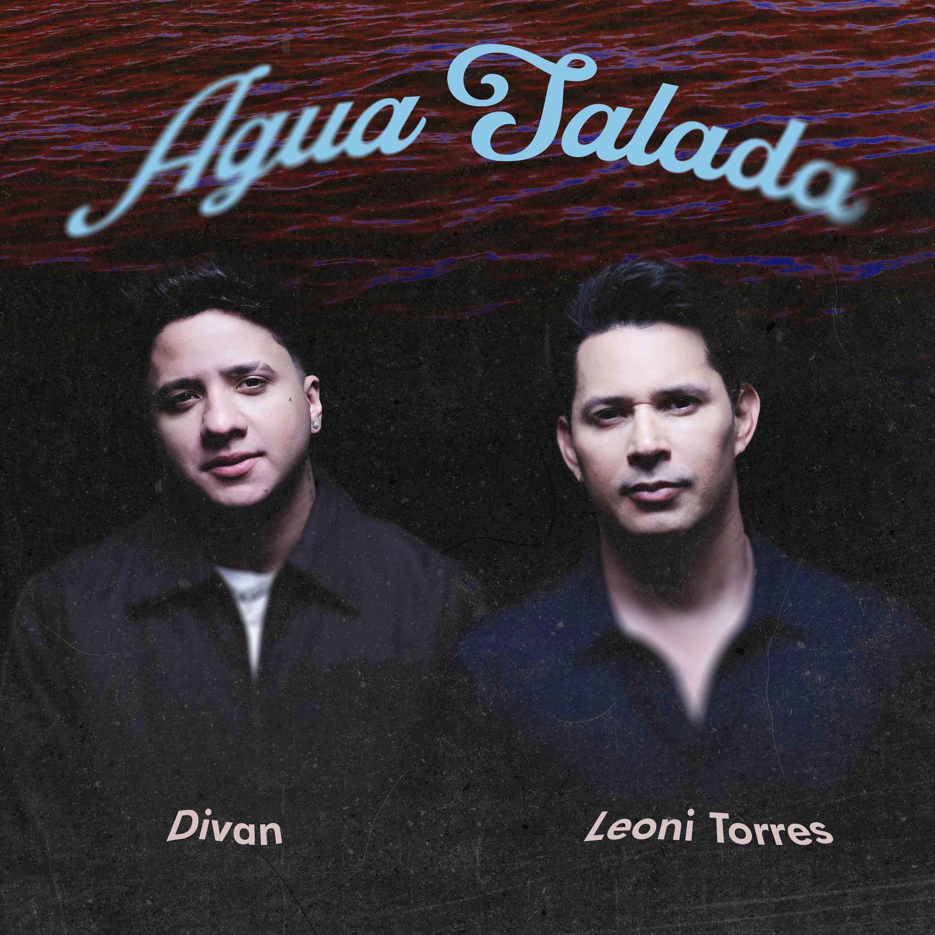 Album cover of Agua Salada