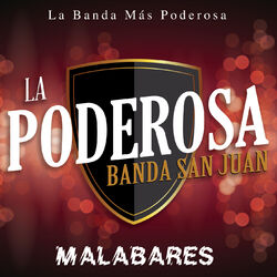 Cover of Malabares