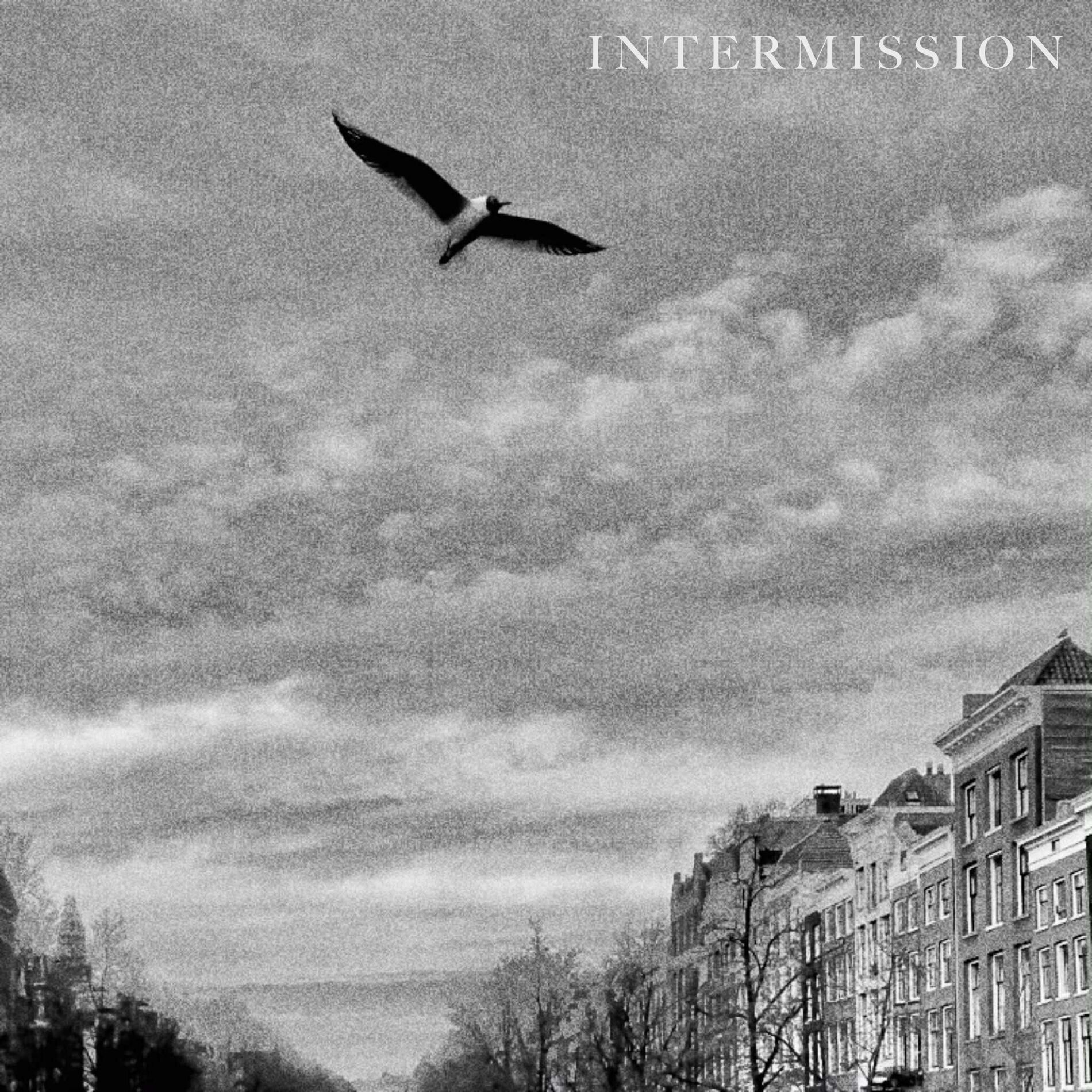 Album cover of Intermission