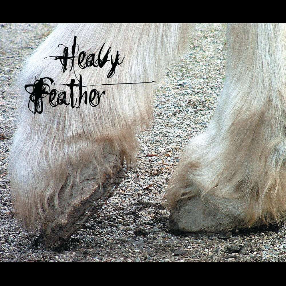 Picture of Heavy Feather