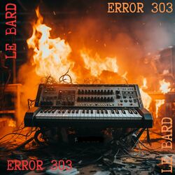 Cover of Error 303