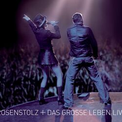 Cover of Das grosse Leben - Live