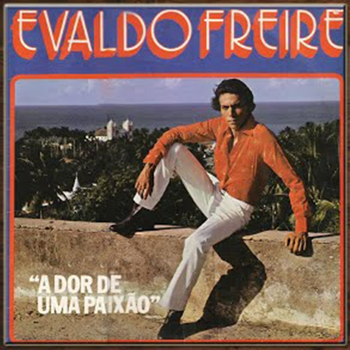 Album cover of A dor de uma paixão