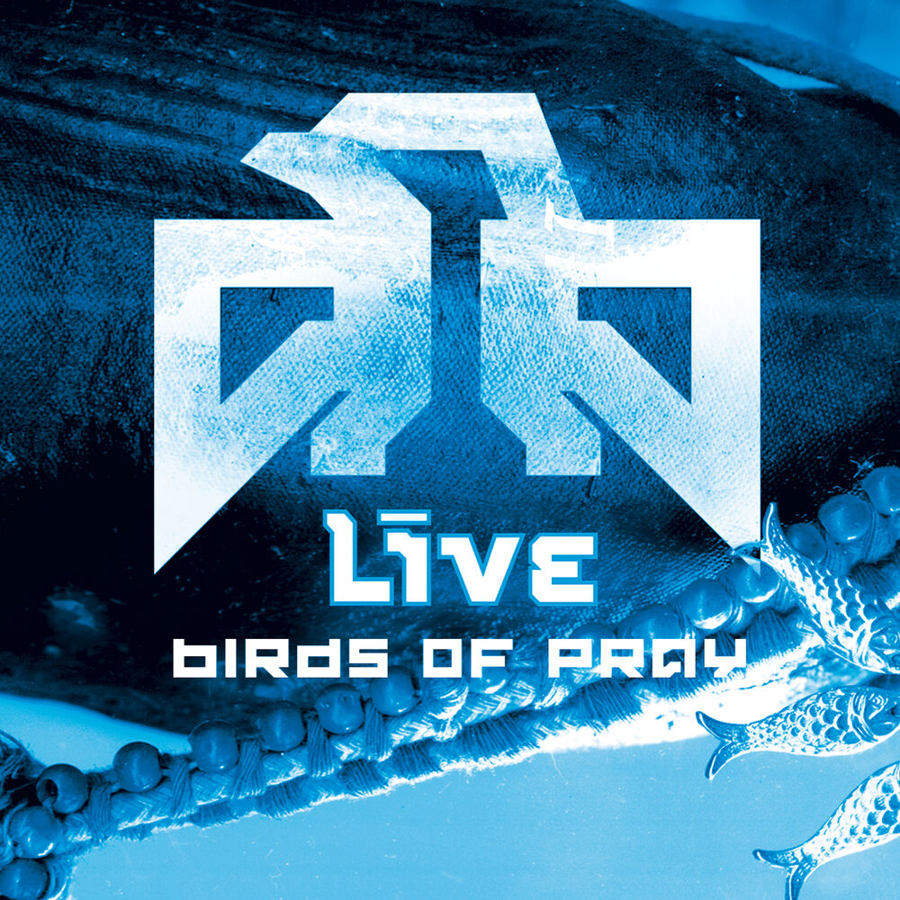 Picture of Birds Of Pray