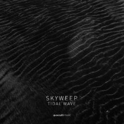 Cover of Tidal Wave / Wild World