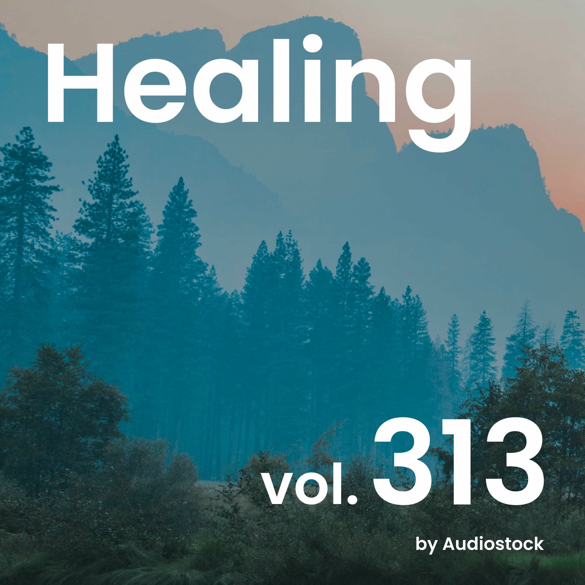 Album cover of Healing, Vol. 313 -Instrumental BGM- by Audiostock