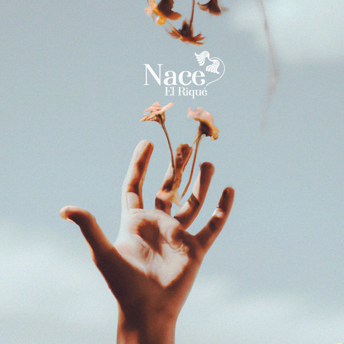 Album cover of Nace