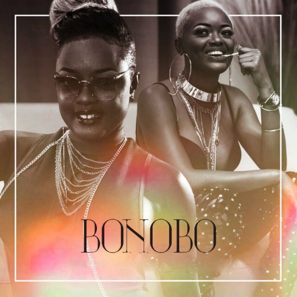 Picture of Bonobo