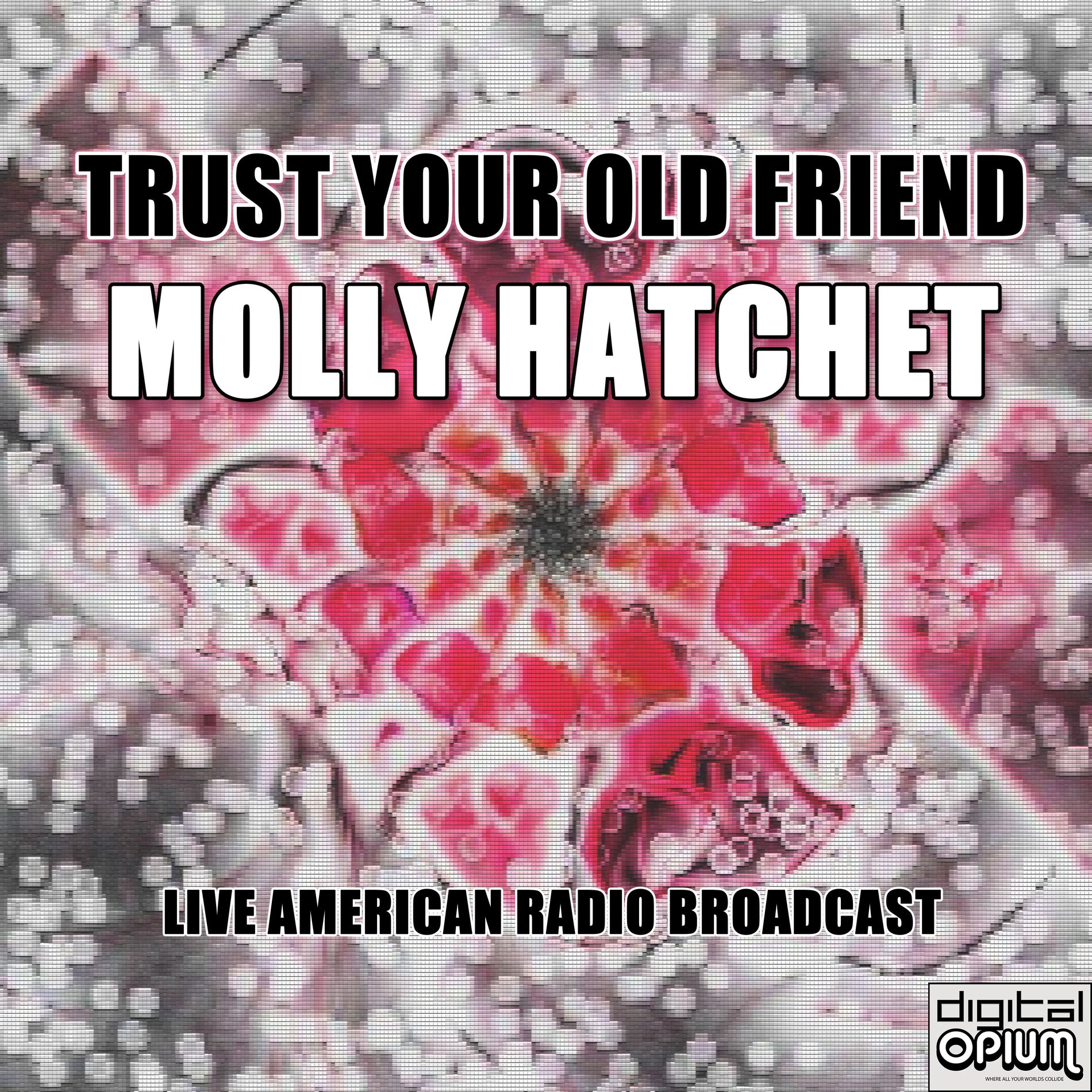 Album cover of Trust Your Old Friend (Live)