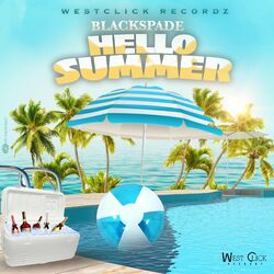 Cover of Hello Summer