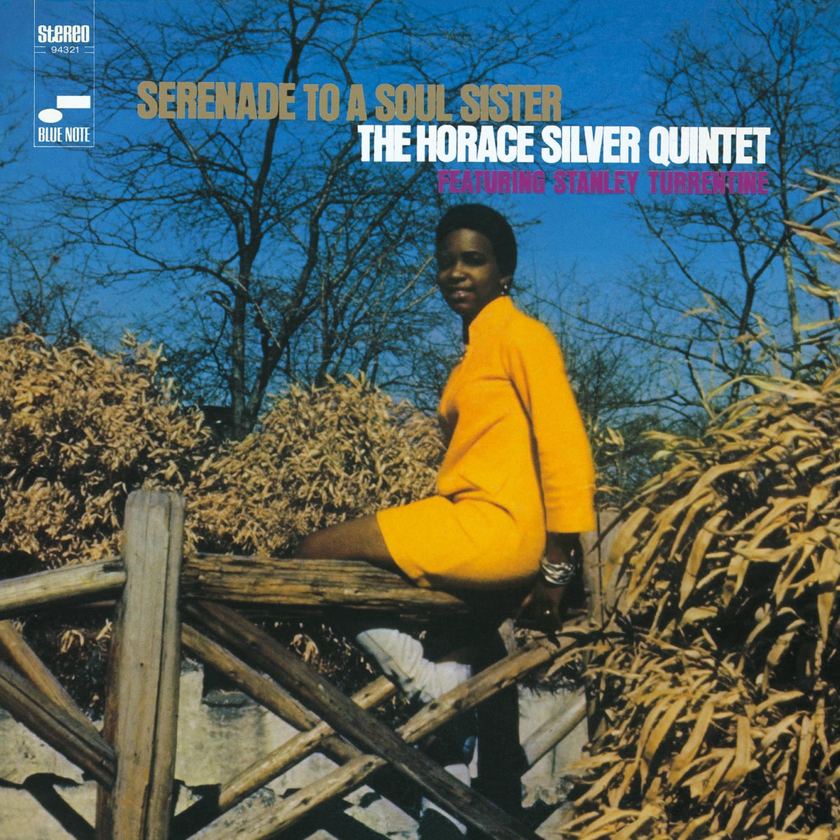 Album cover of Serenade To A Soul Sister