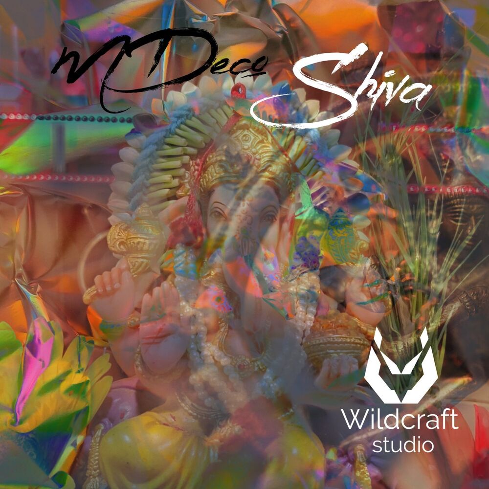 Picture of Shiva