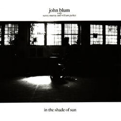 Cover of In the Shade of Sun