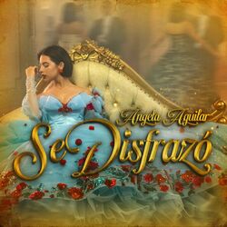 Cover of Se Disfrazó