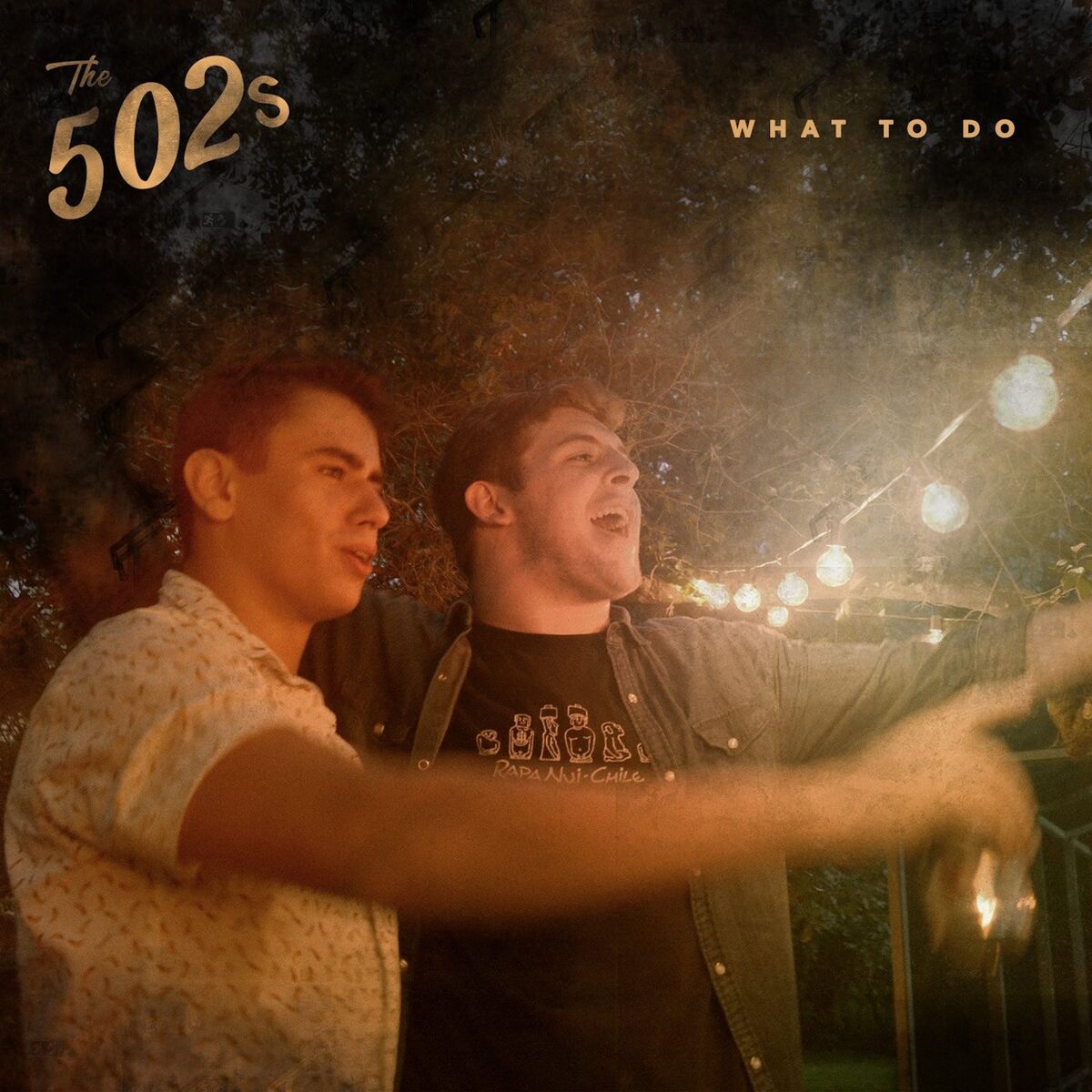 Album cover of What to Do