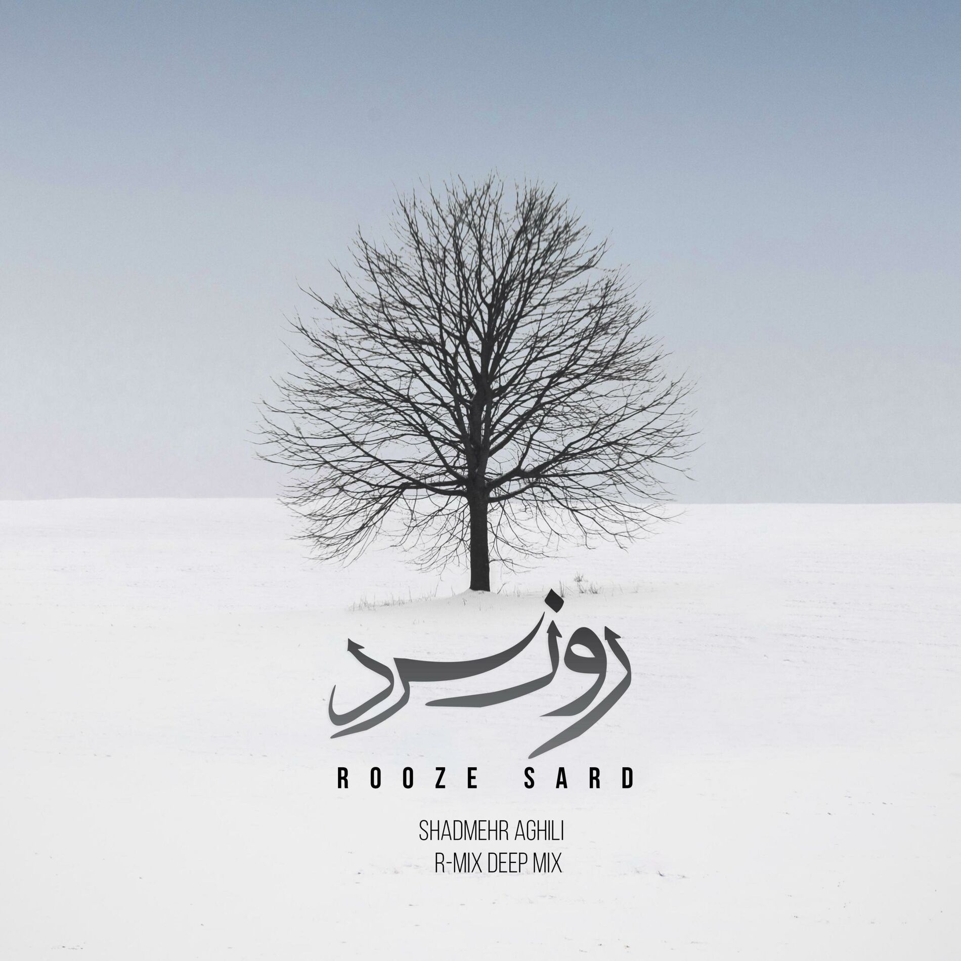 Album cover of Rooze Sard (feat. Shadmehr Aghili) [Deep Mix]