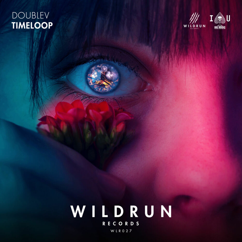 Picture of Timeloop