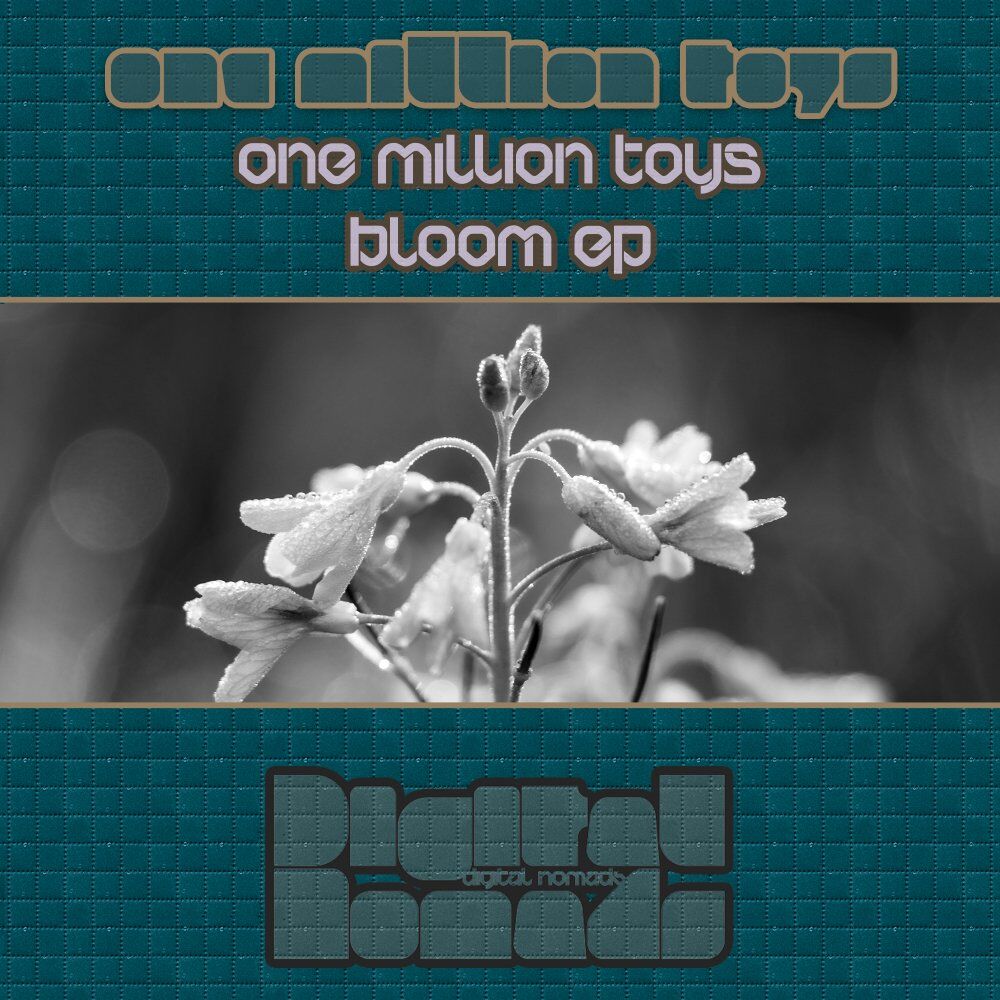 Picture of Bloom