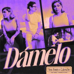 Cover of Dámelo