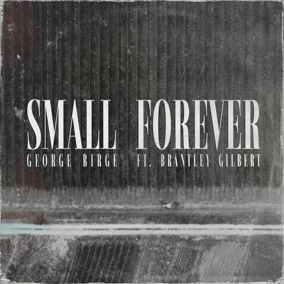 Album cover of Small Forever