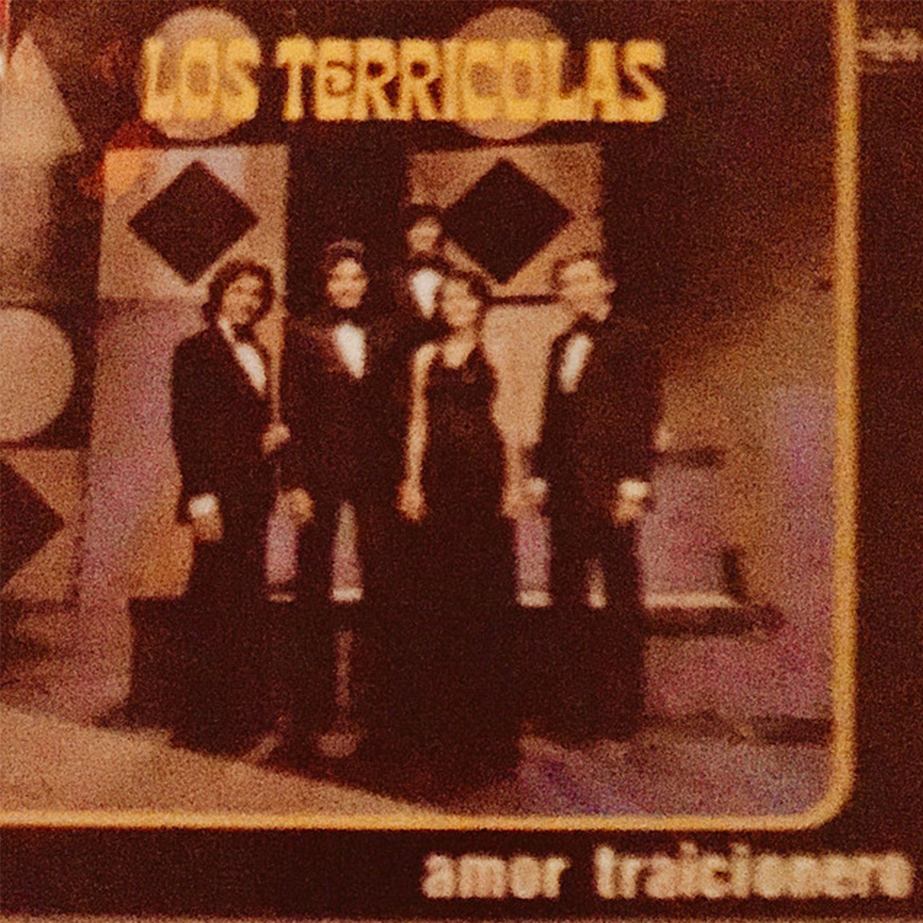 Album cover of Amor Traicionero