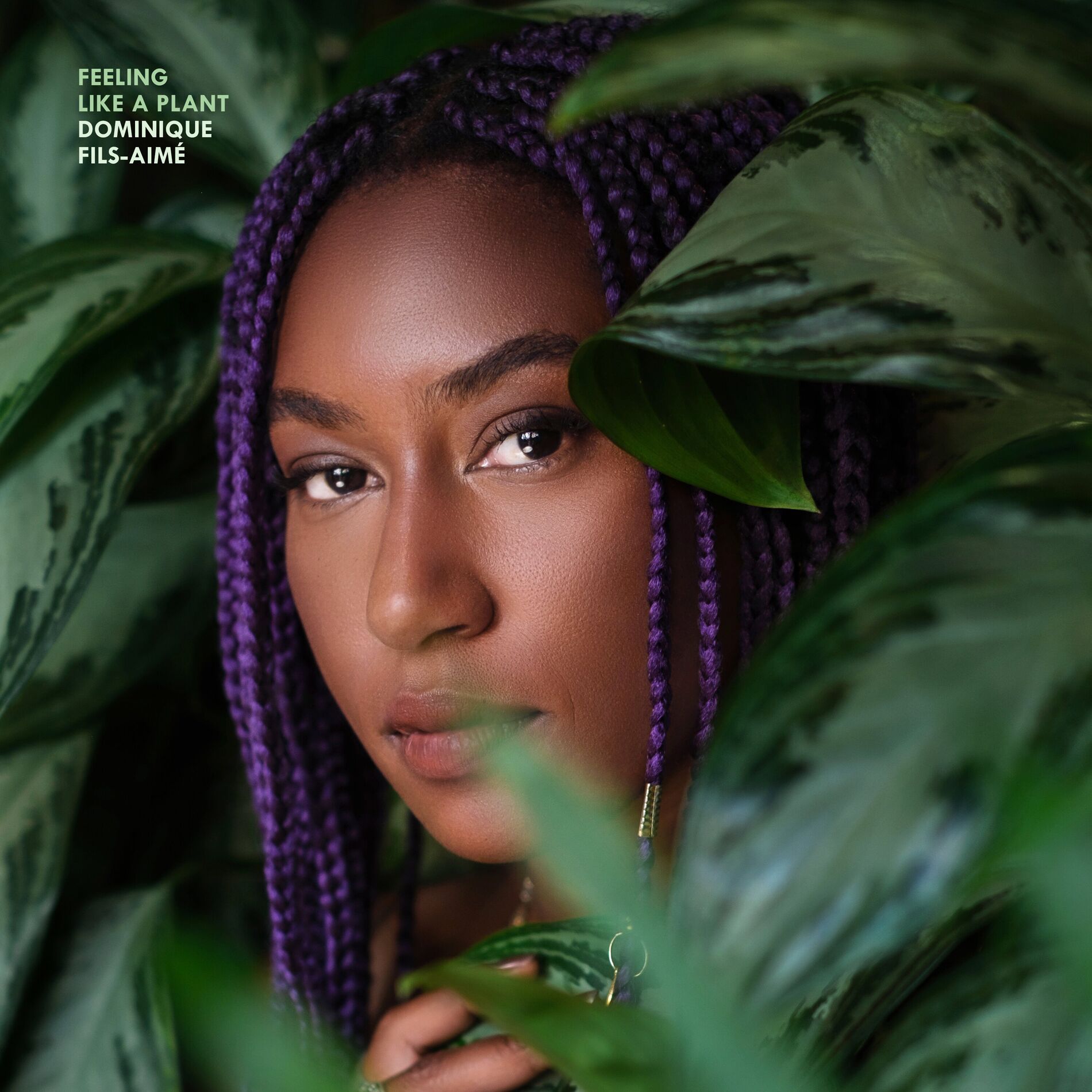 Album cover of Feeling Like A Plant