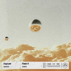 Cover of Feel It