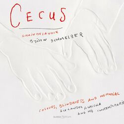 Cover of Cecus: Colours, blindness and memorial