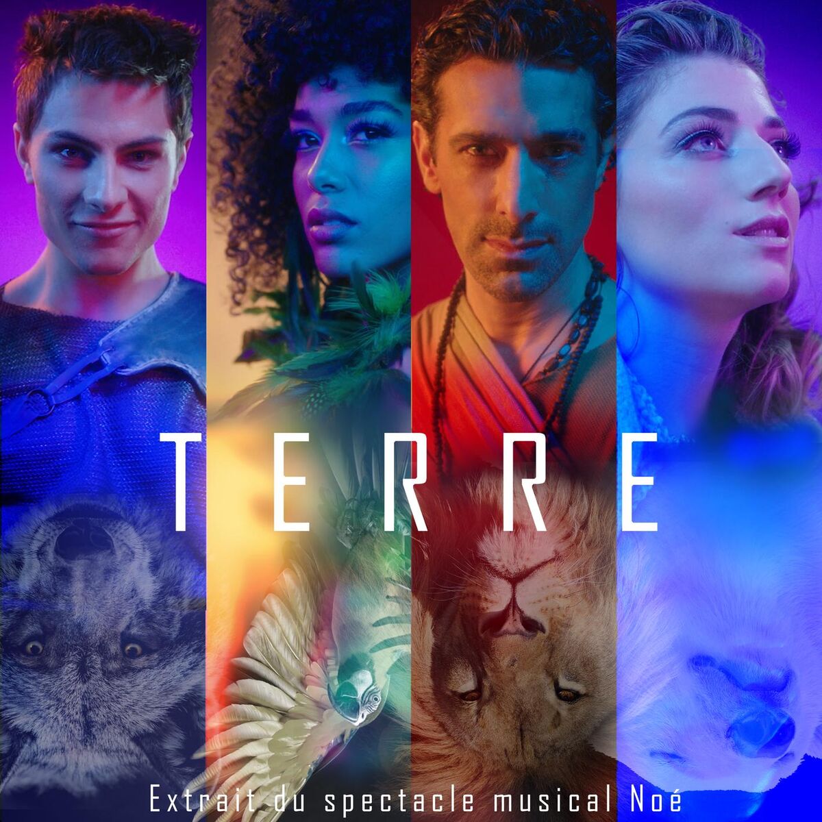 Album cover of Terre