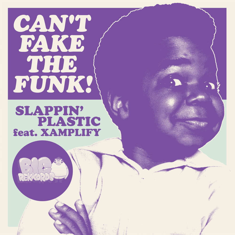 Picture of Can't Fake the Funk