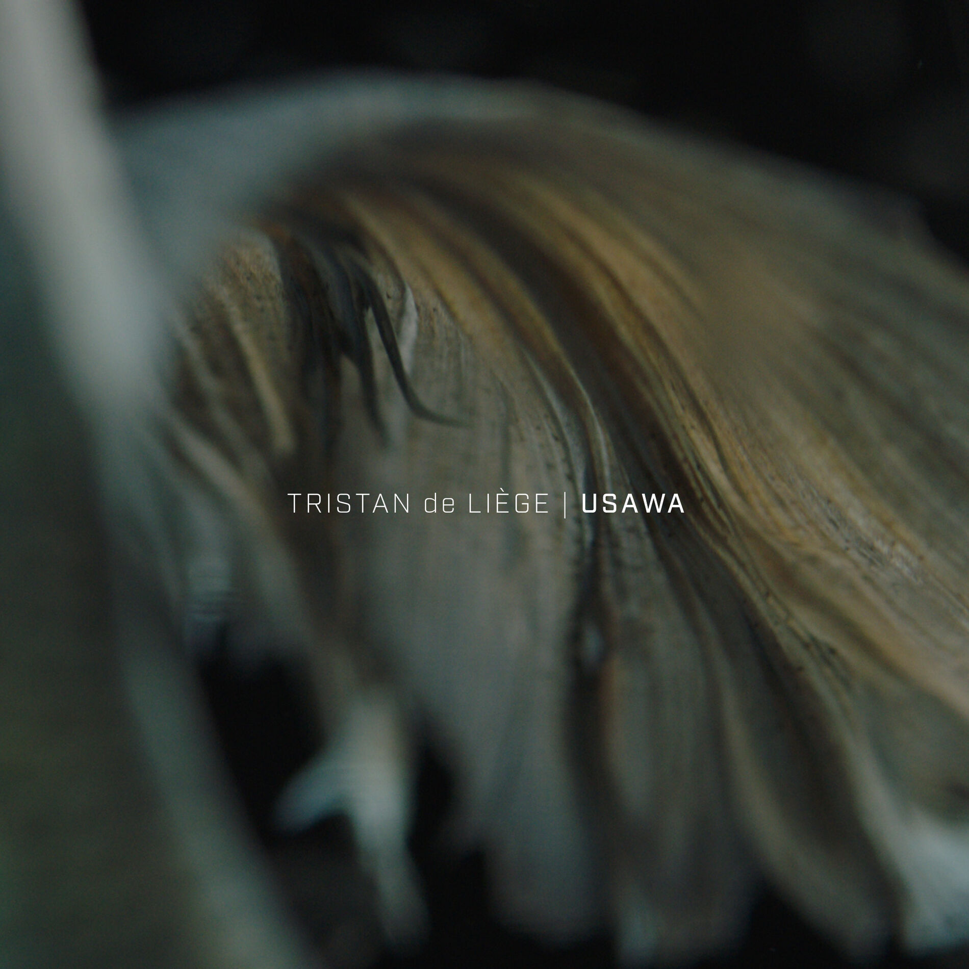 Album cover of Usawa
