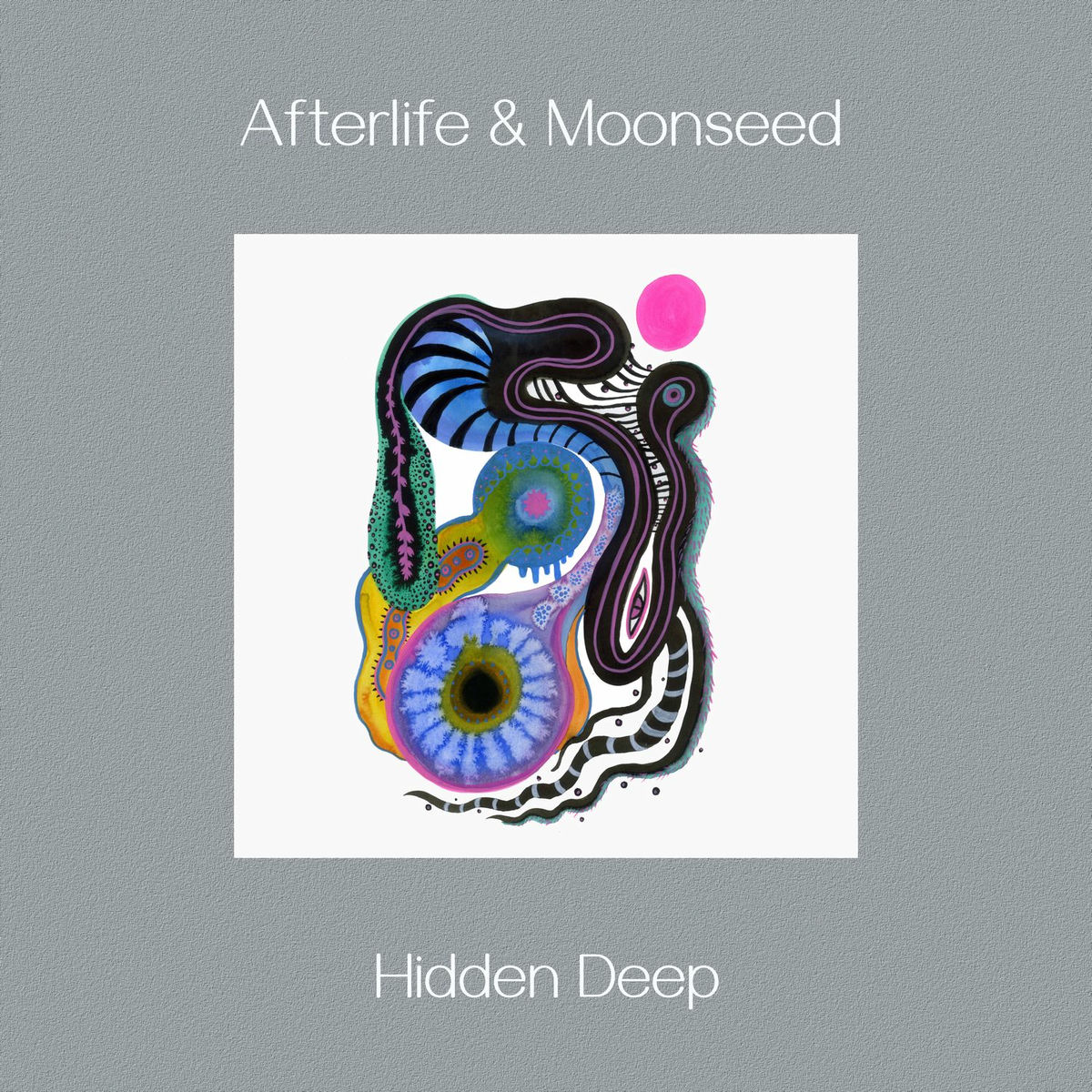 Album cover of Hidden Deep