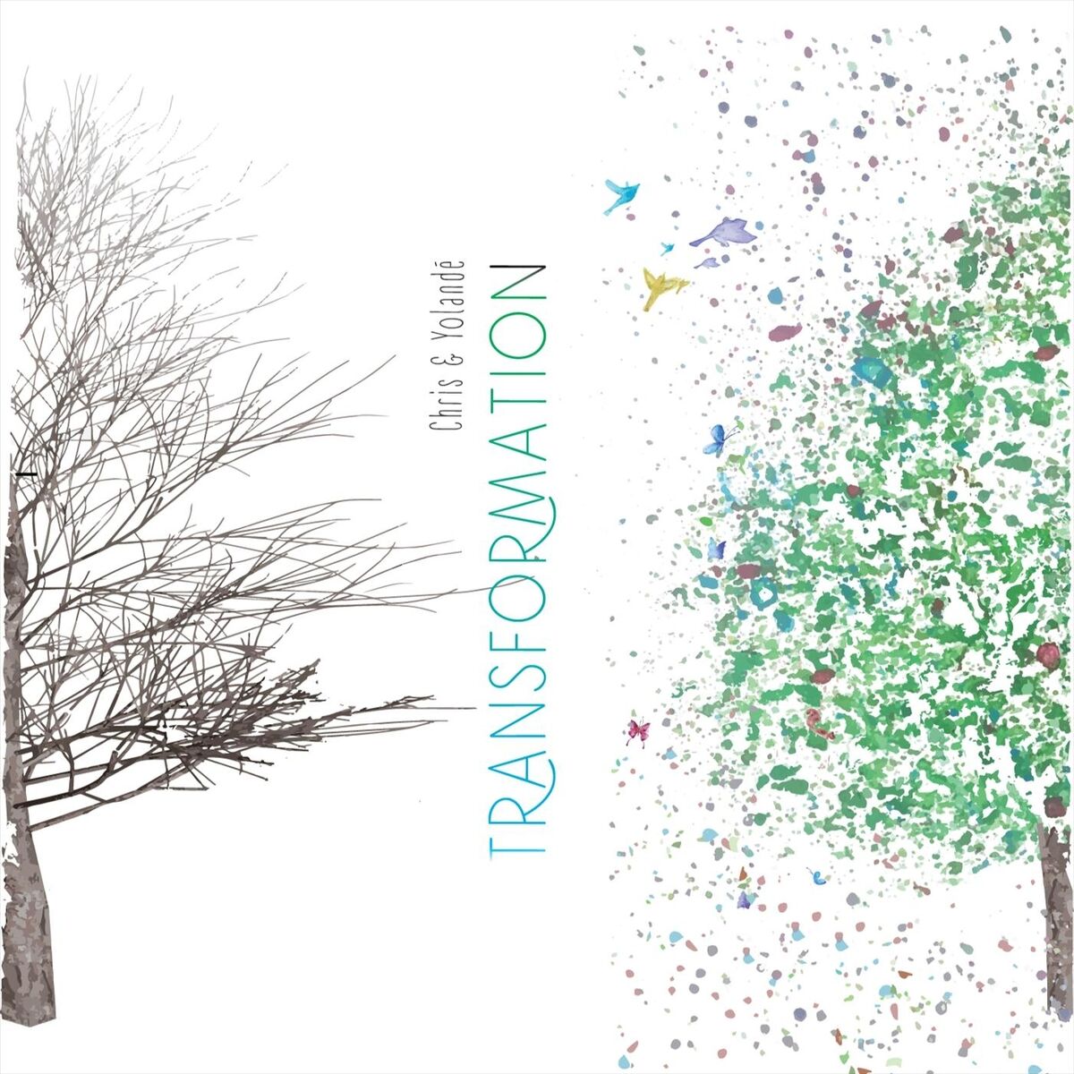 Album cover of Transformation