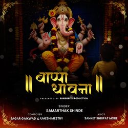 Cover of Bappa Dhavna