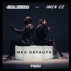 Cover of mes défauts