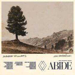 Cover of Abide