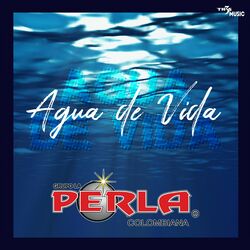 Cover of Agua de Vida