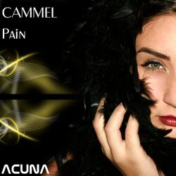 Cover of Pain