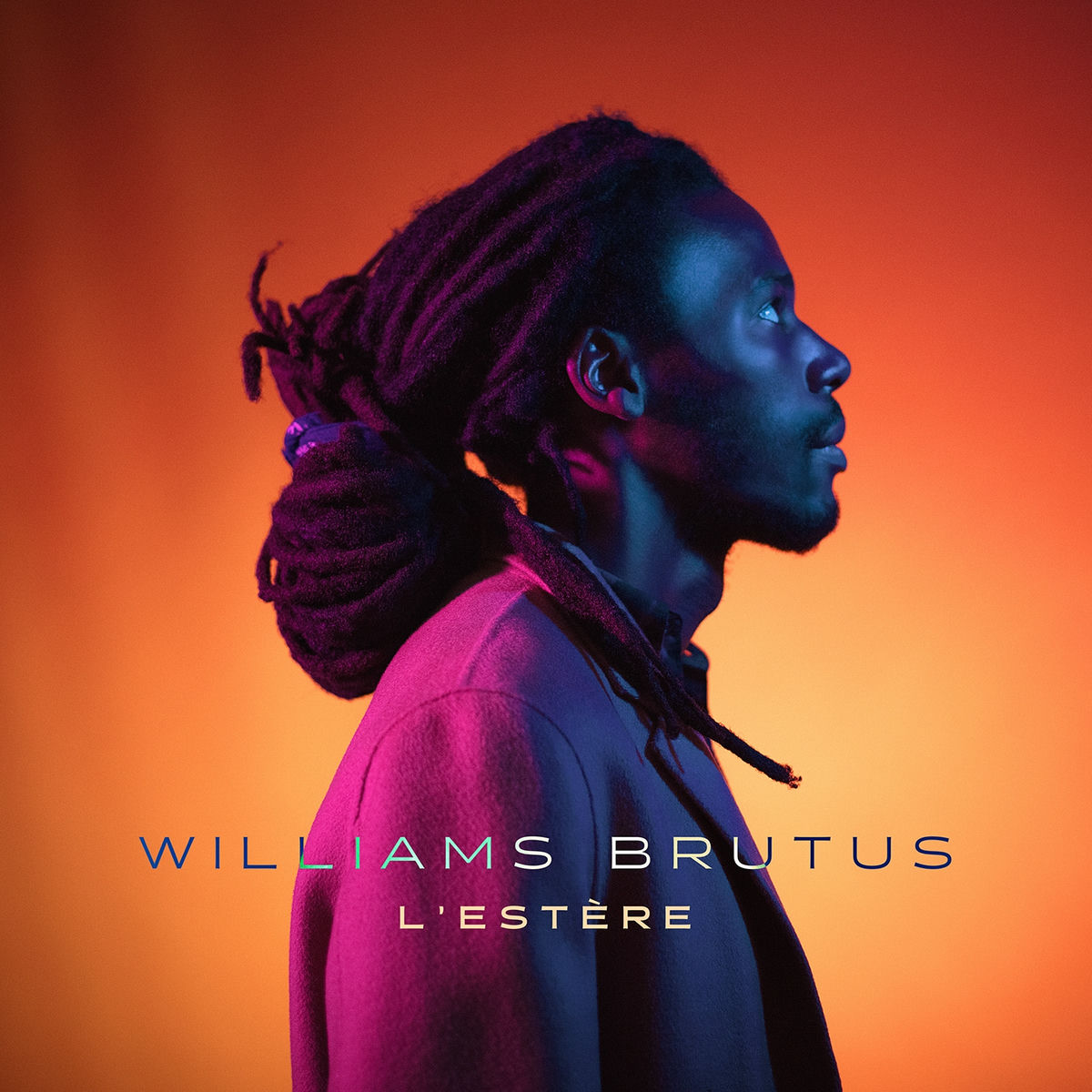 Album cover of L'estère