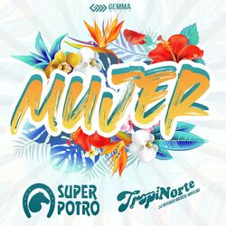 Cover of Mujer