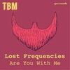 FELIX JAEHN/SHOUSE - Walk With Me (Record Mix)