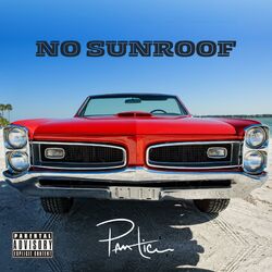 Cover of No Sunroof