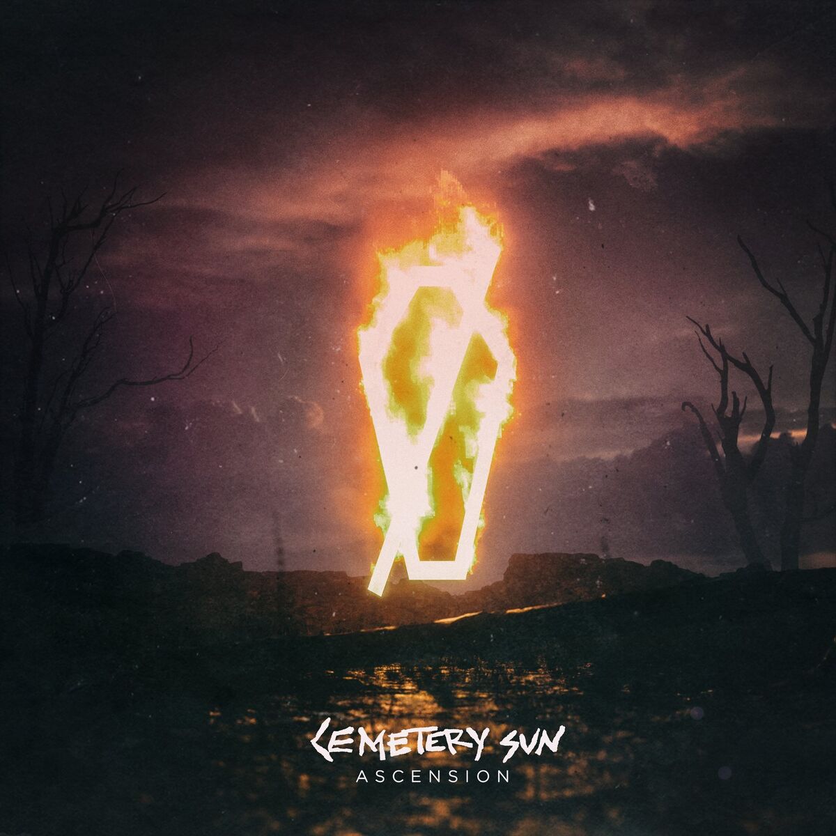 Album cover of 19