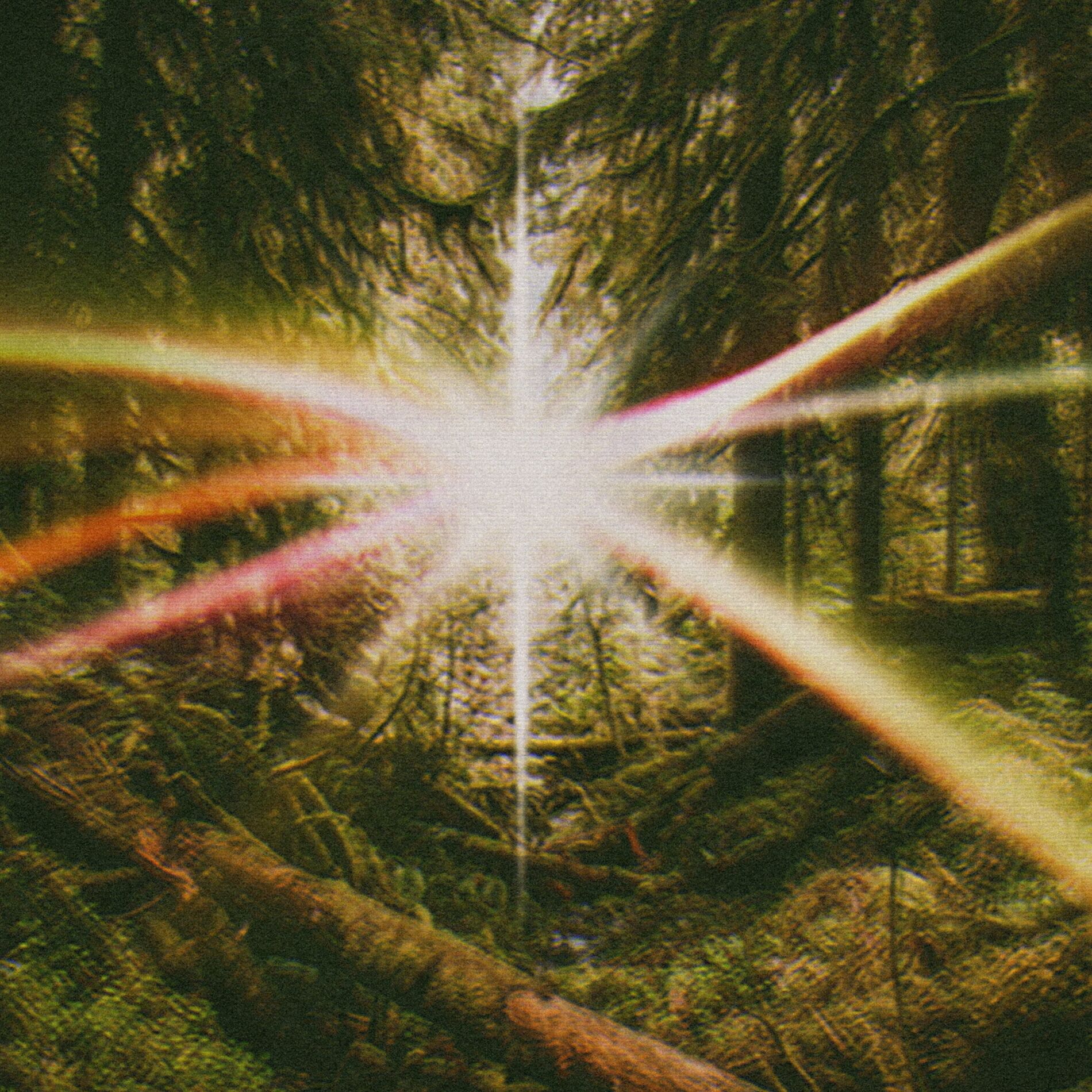 Album cover of Radiance