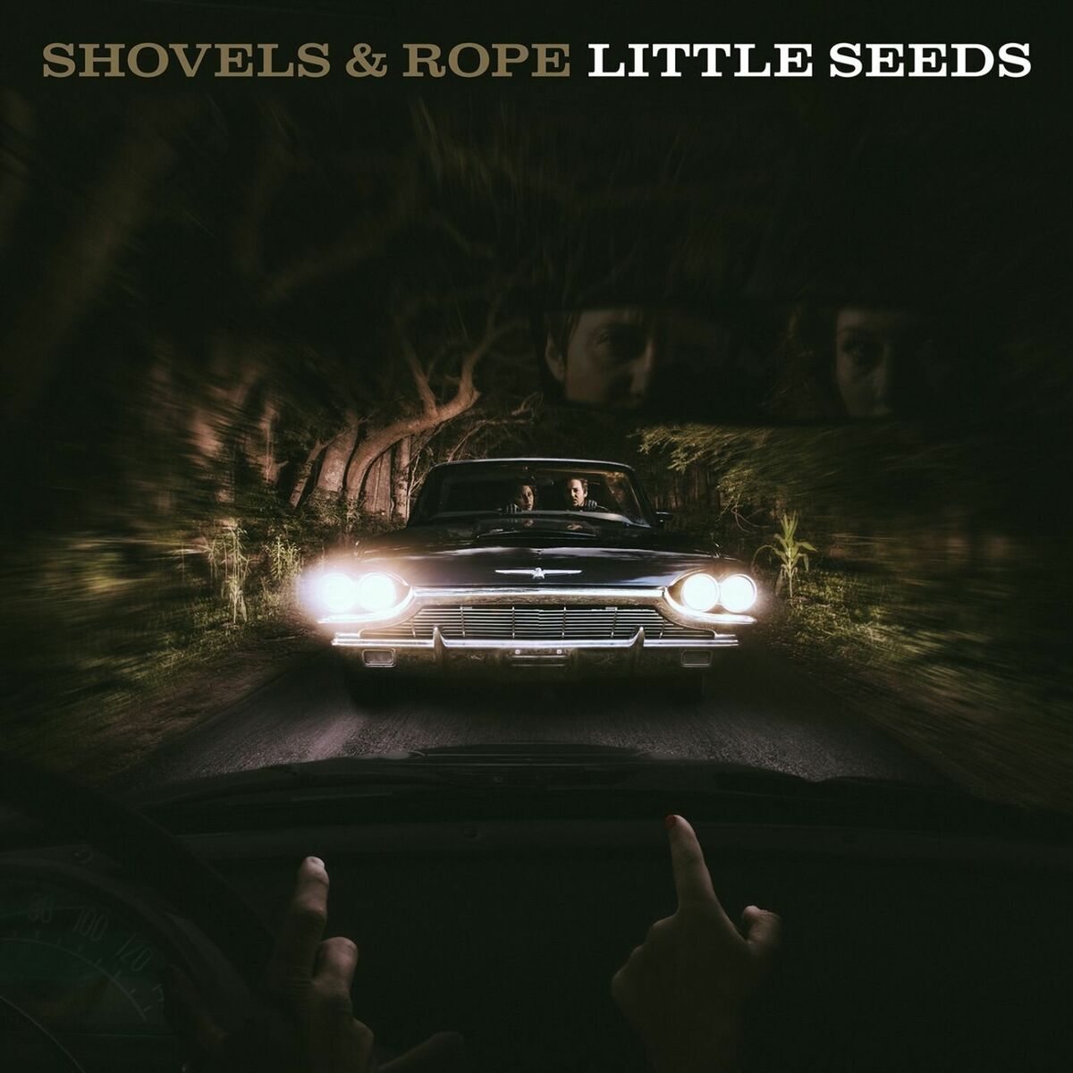 Album cover of Little Seeds