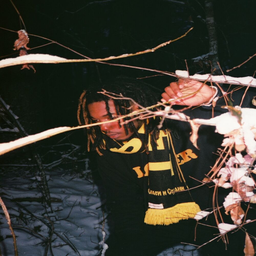 Picture of DWN2EARTH