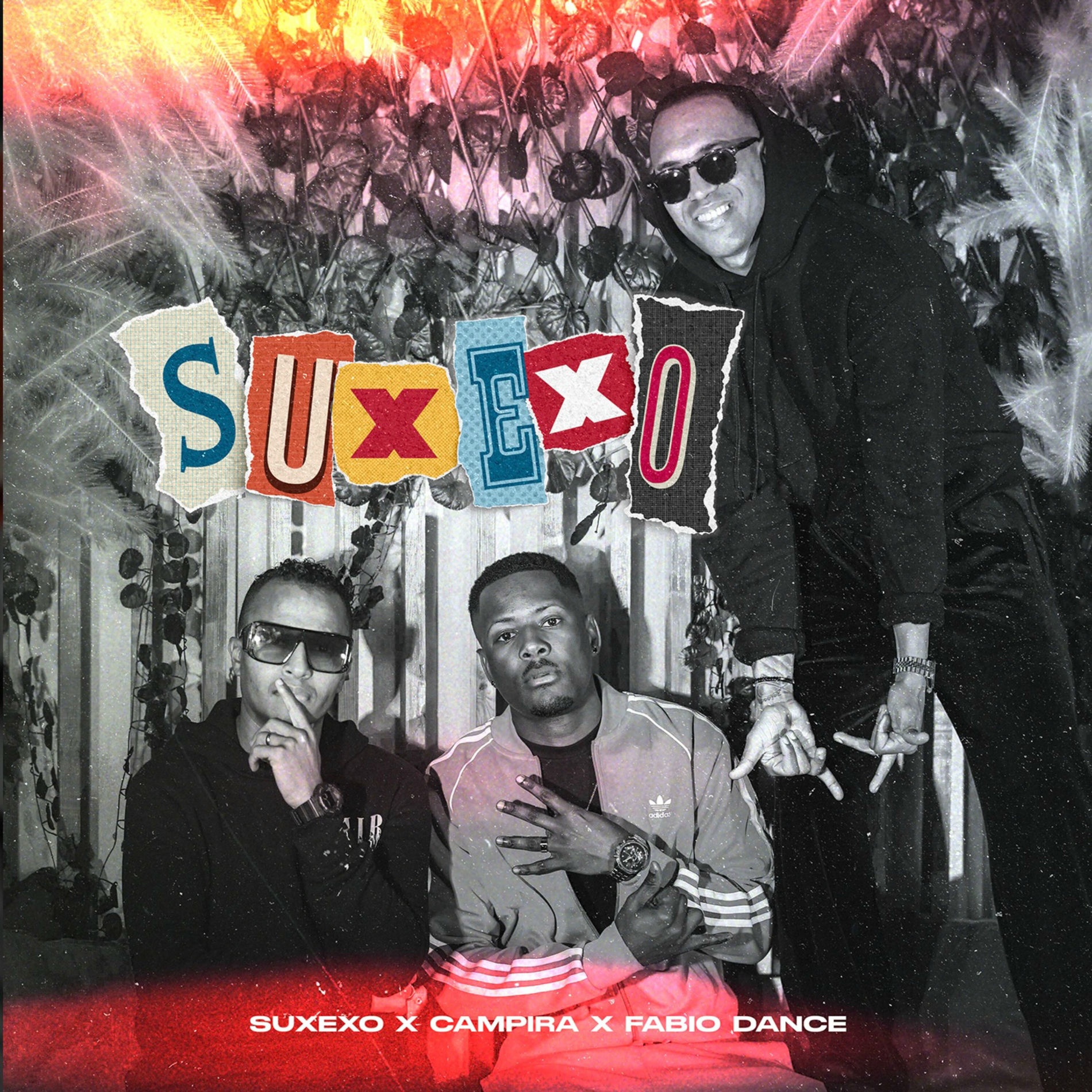 Album cover of Suxexo